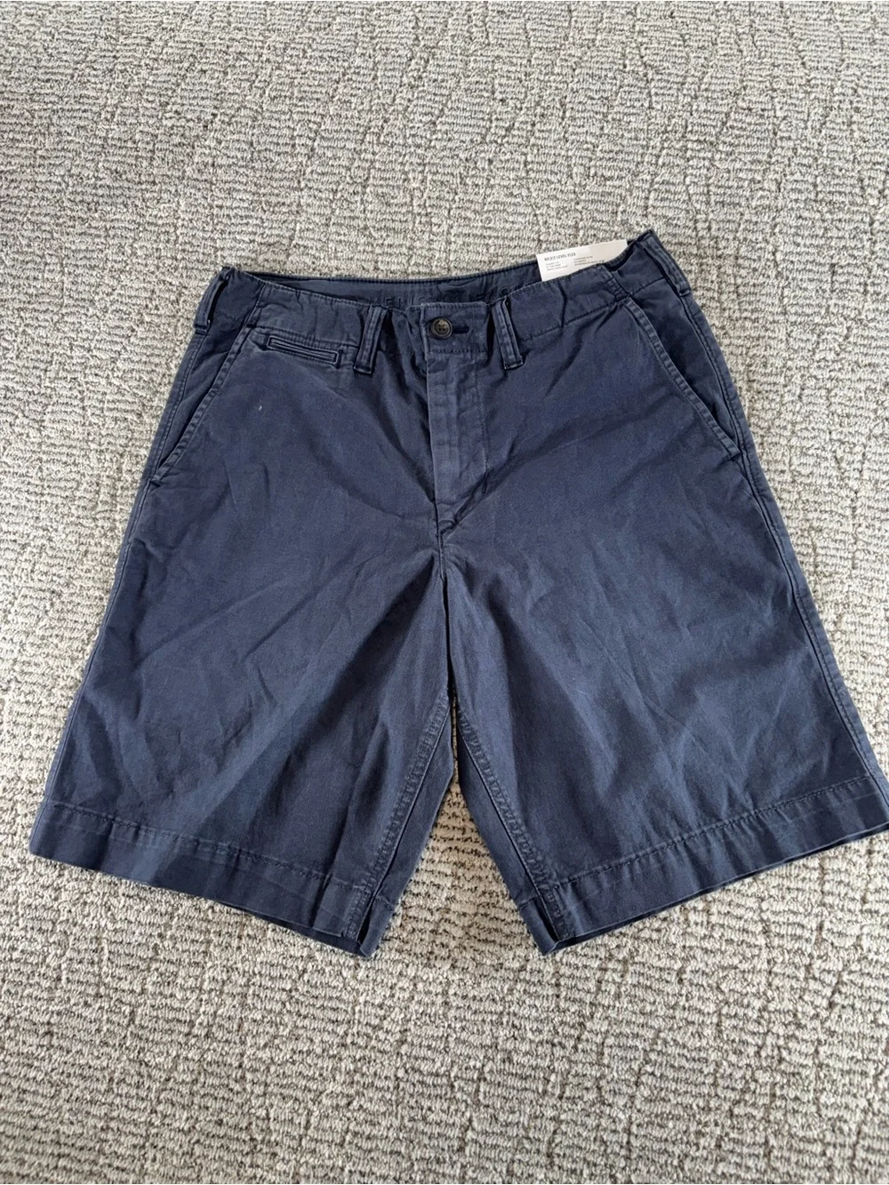NWT American Eagle Men’s Size 30 Blue-Gray Next Level Flex Shorts